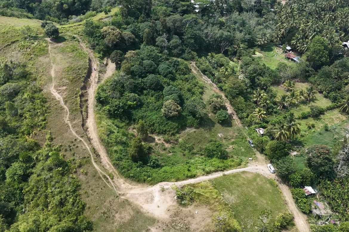 Land for Sale in Calinan, Davao City, Davao del Sur – photo 3