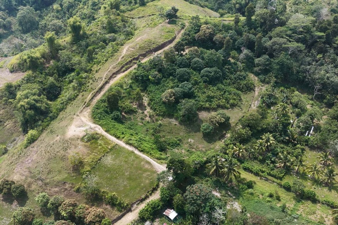 Land for Sale in Calinan, Davao City, Davao del Sur – photo 4