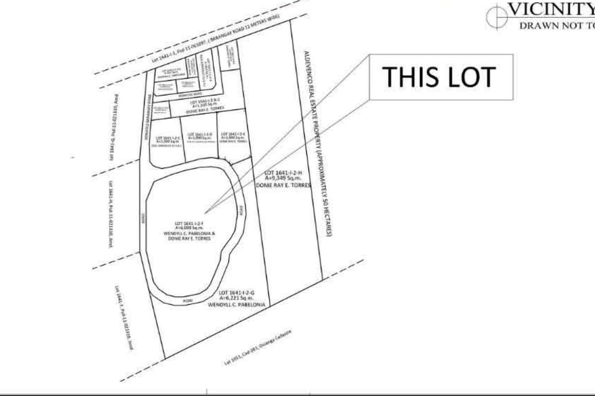Land for Sale in Calinan, Davao City, Davao del Sur – photo 5