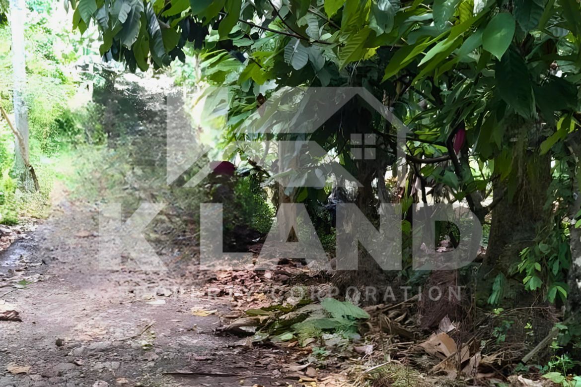 Land for Sale in Calinan, Davao City, Davao del Sur