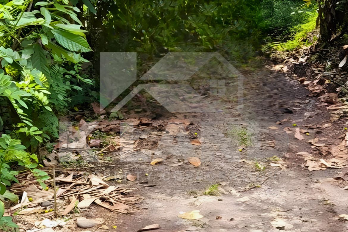 Land for Sale in Calinan, Davao City, Davao del Sur – photo 2