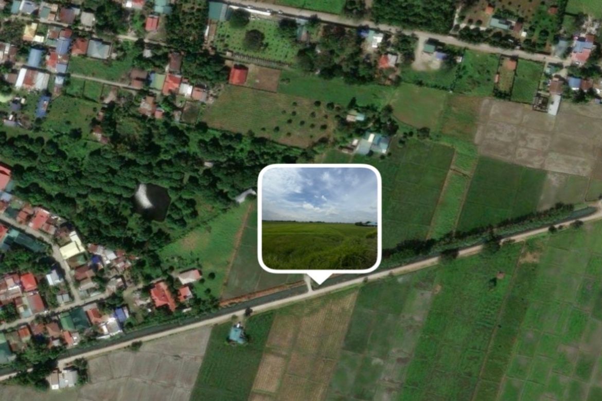 Land for Sale in Calingcuan, Tarlac, Tarlac – photo 2