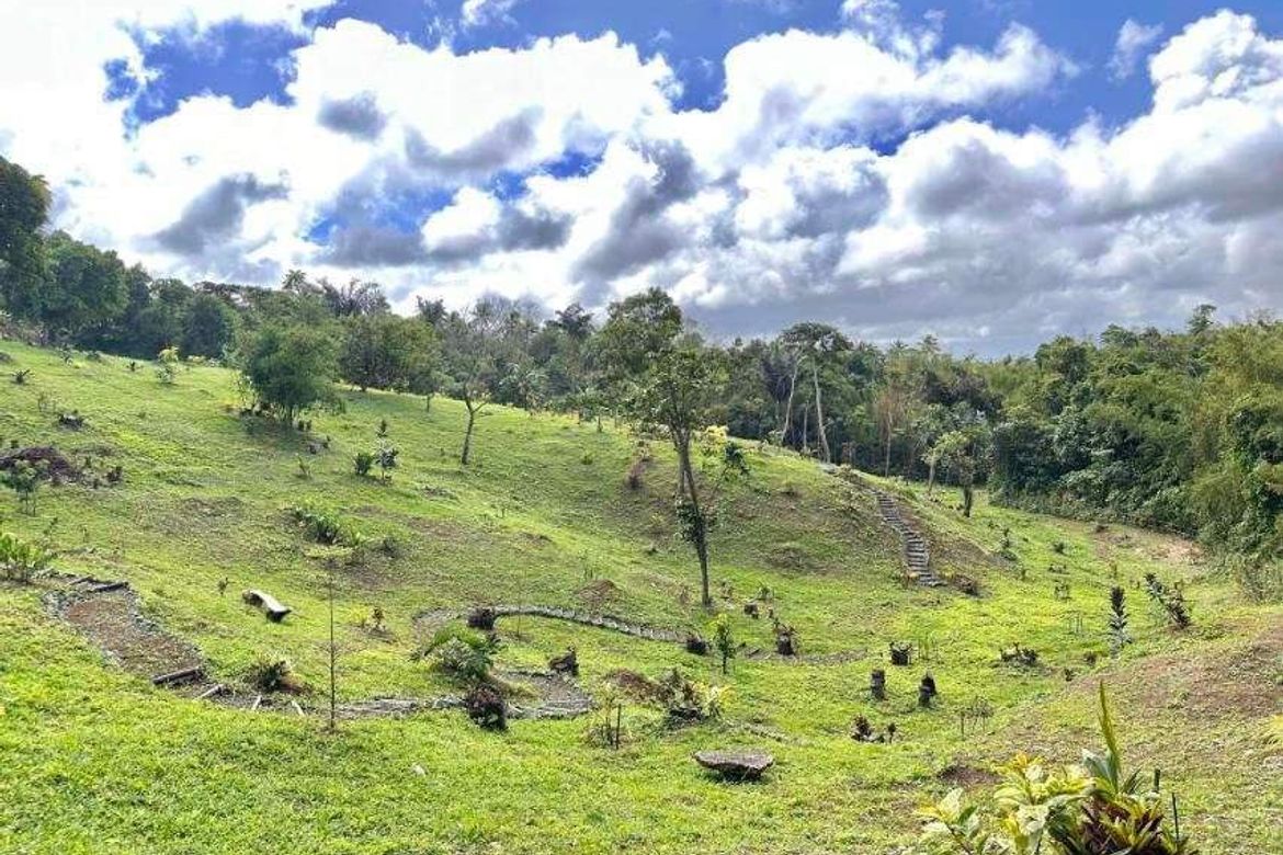 Land for Sale in Caliraya, Lumban, Laguna