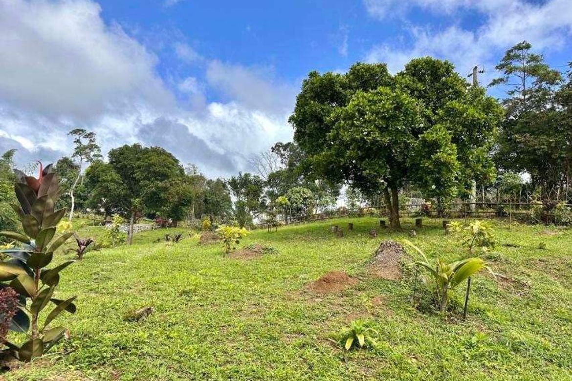 Land for Sale in Caliraya, Lumban, Laguna – photo 2