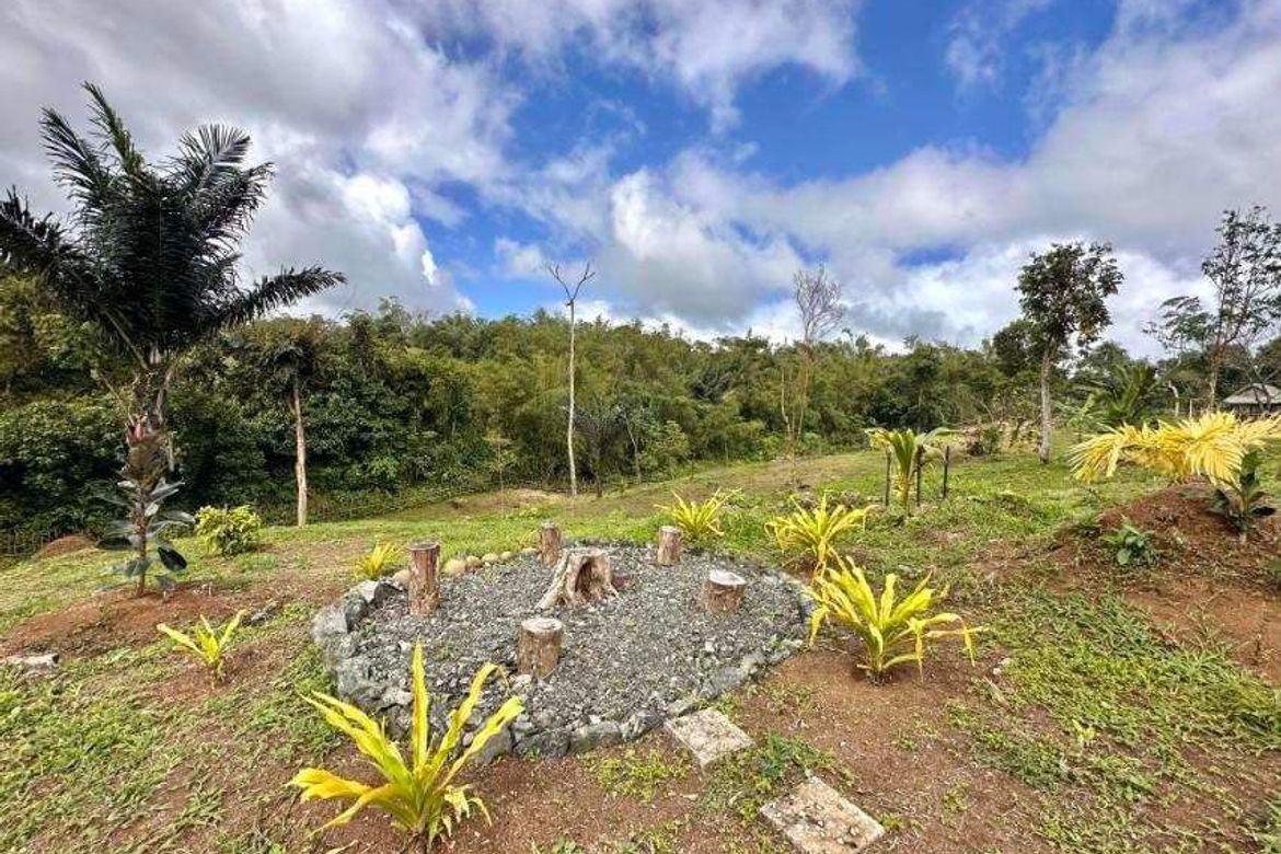 Land for Sale in Caliraya, Lumban, Laguna – photo 4