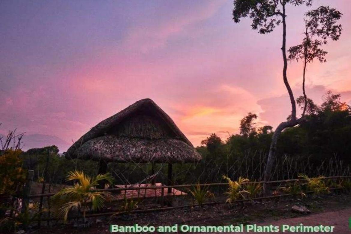 Land for Sale in Caliraya, Lumban, Laguna – photo 6