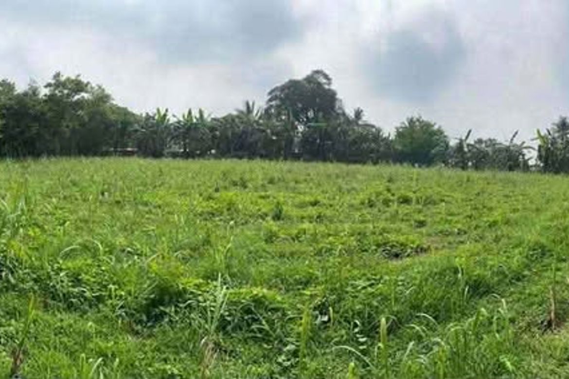 Land for Sale in Caluangan, Magallanes, Cavite – photo 2