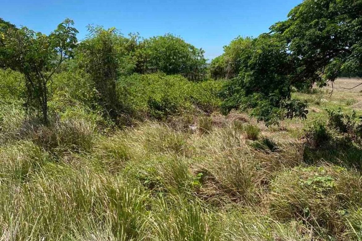 Land for Sale in Calubcob, Naic, Cavite – photo 5