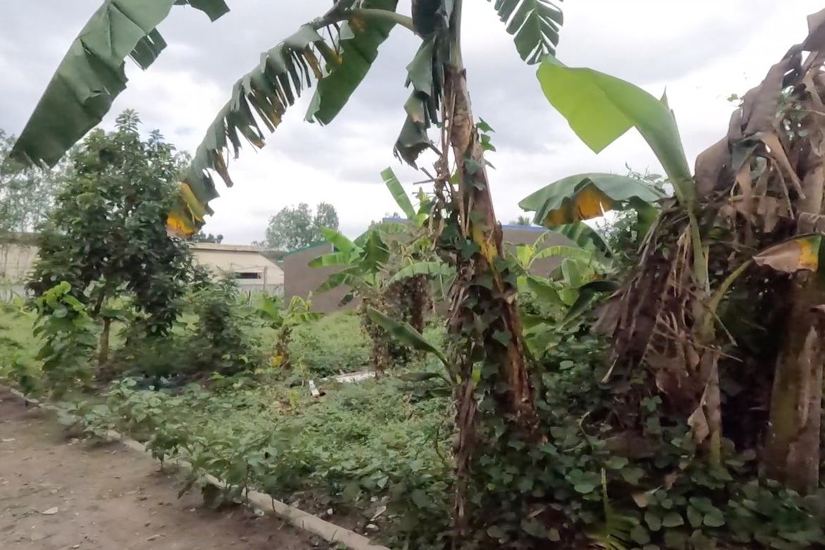 Land for Sale in Calubcob, Naic, Cavite – photo 4