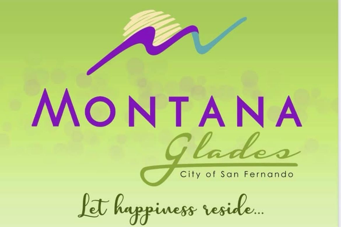Land for Sale in Calulut, San Fernando, Pampanga – photo 7