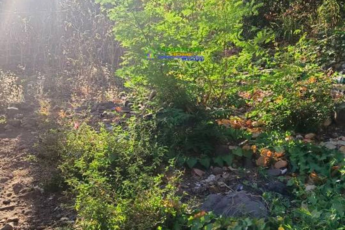 Land for Sale in Calumpang, Binangonan, Rizal – photo 4