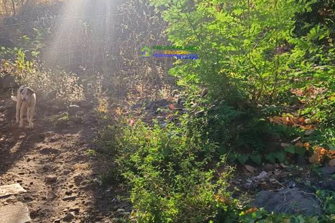 Land for Sale in Calumpang, Binangonan, Rizal – photo 7