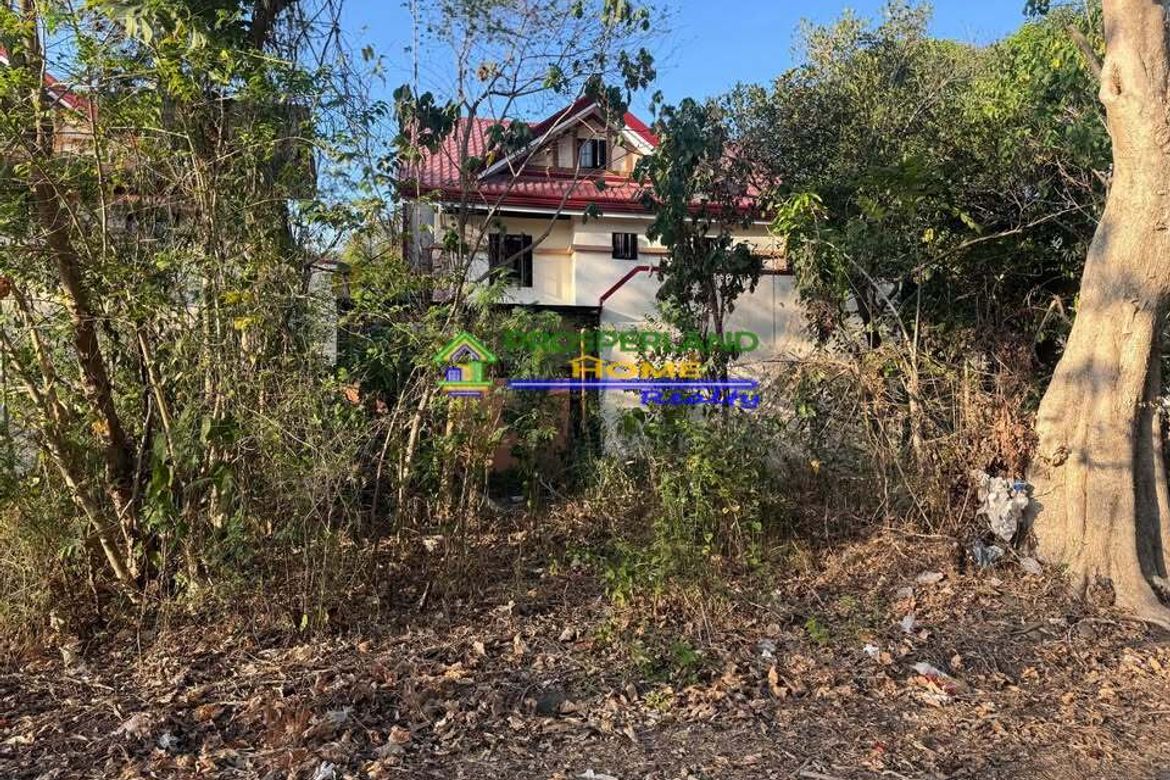 Land for Sale in Calumpang, Binangonan, Rizal – photo 2