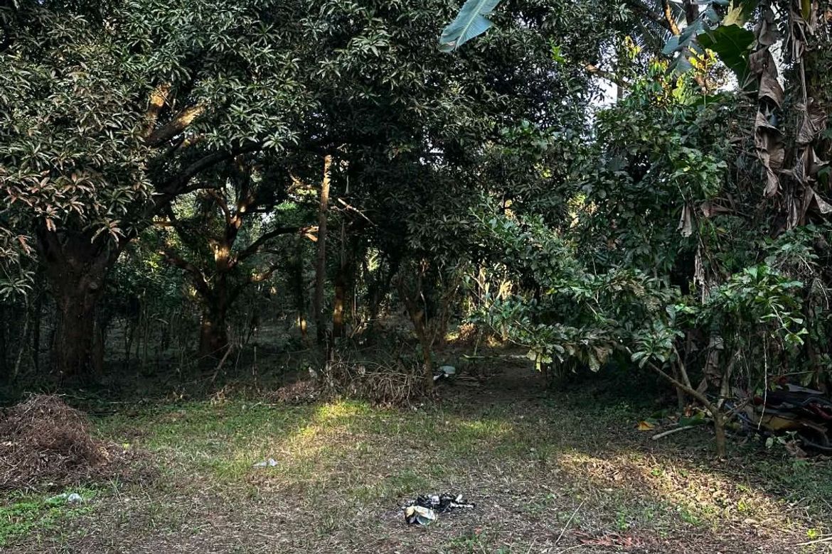 Land for Sale in Calumpang Cerca, Indang, Cavite – photo 3