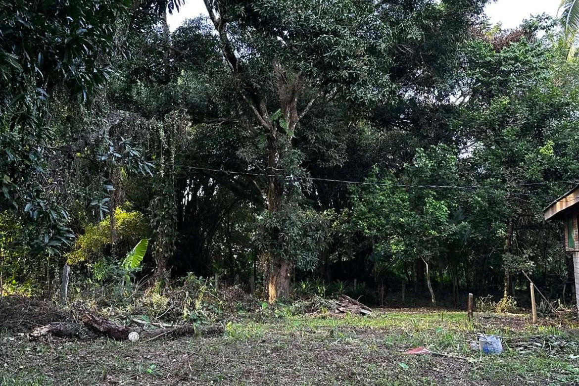 Land for Sale in Calumpang Cerca, Indang, Cavite – photo 4