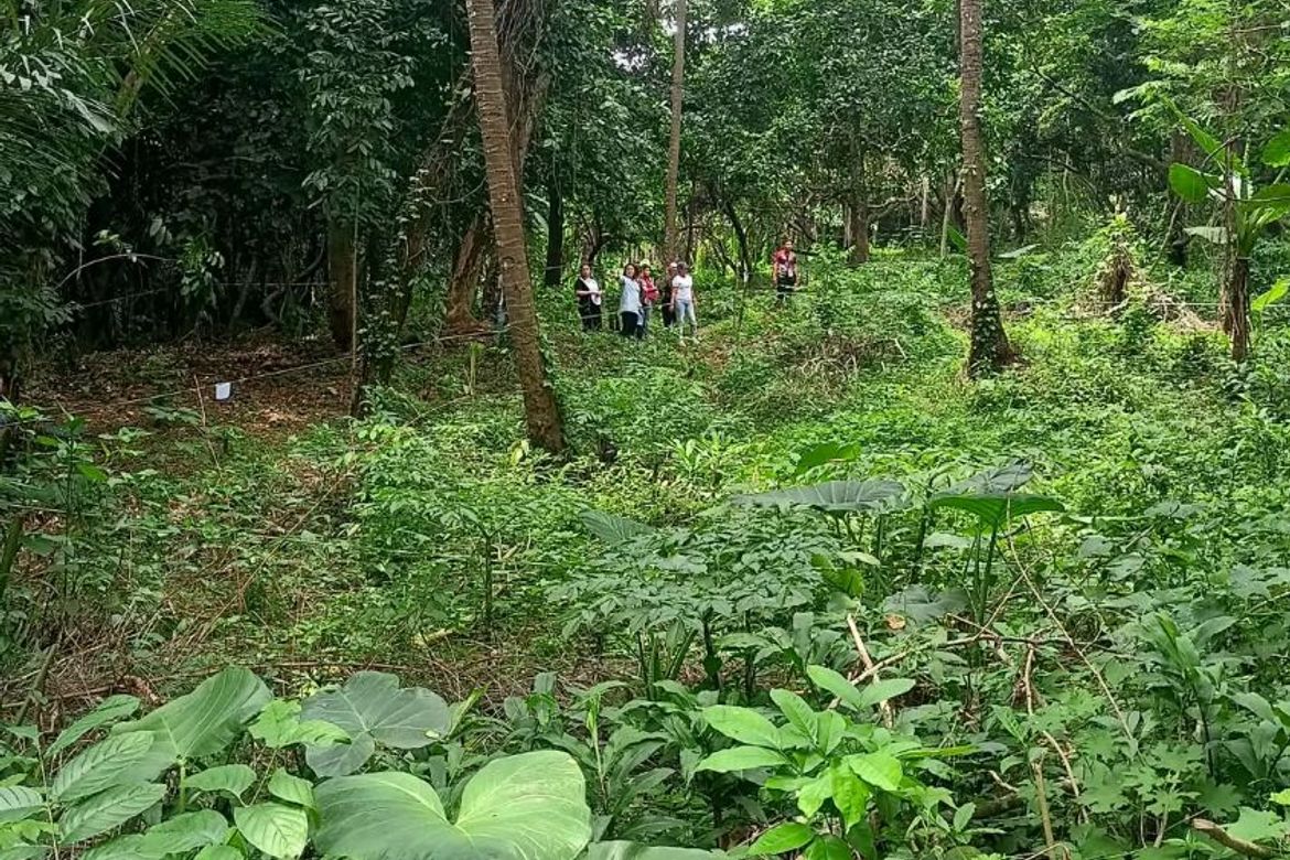 Land for Sale in Calumpang Cerca, Indang, Cavite – photo 8