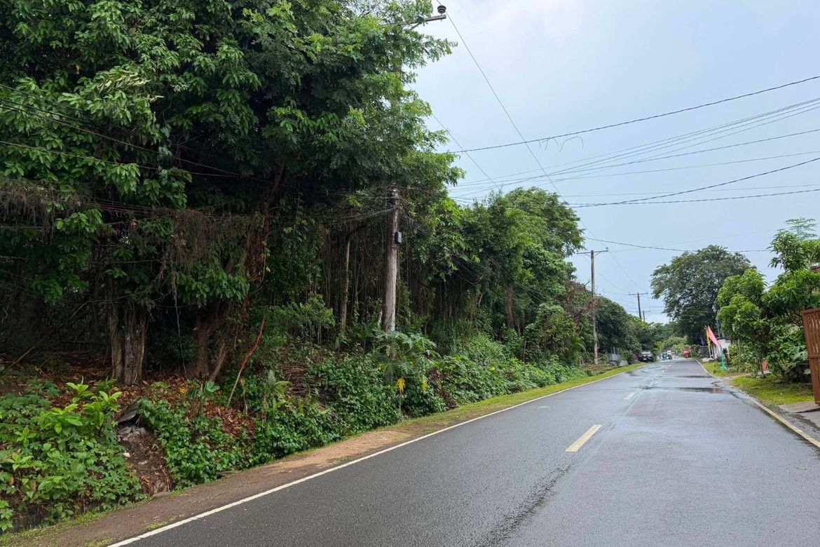 Land for Sale in Calumpang Cerca, Indang, Cavite – photo 2