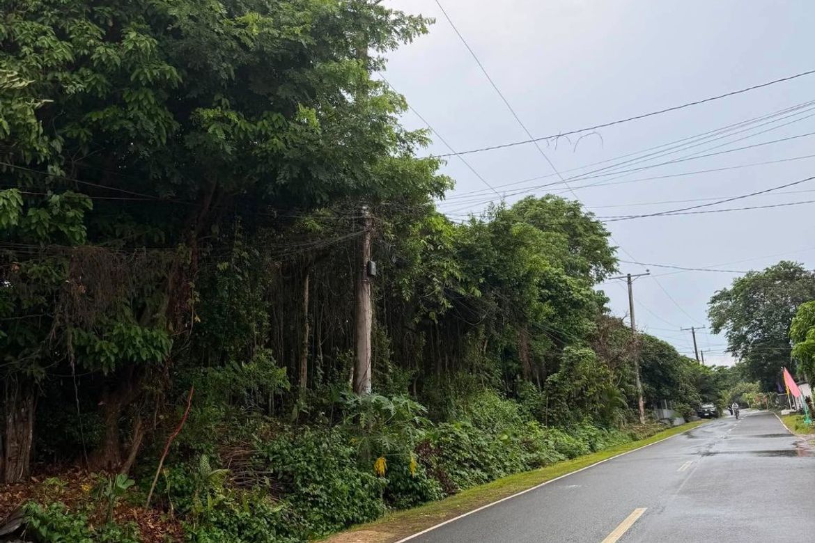 Land for Sale in Calumpang Cerca, Indang, Cavite – photo 3
