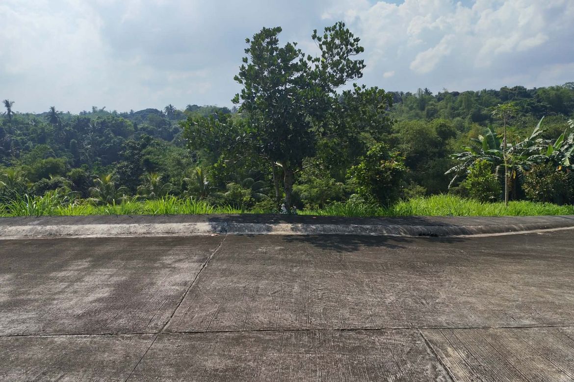 Land for Sale in Calumpang Lejos I, Indang, Cavite – photo 7