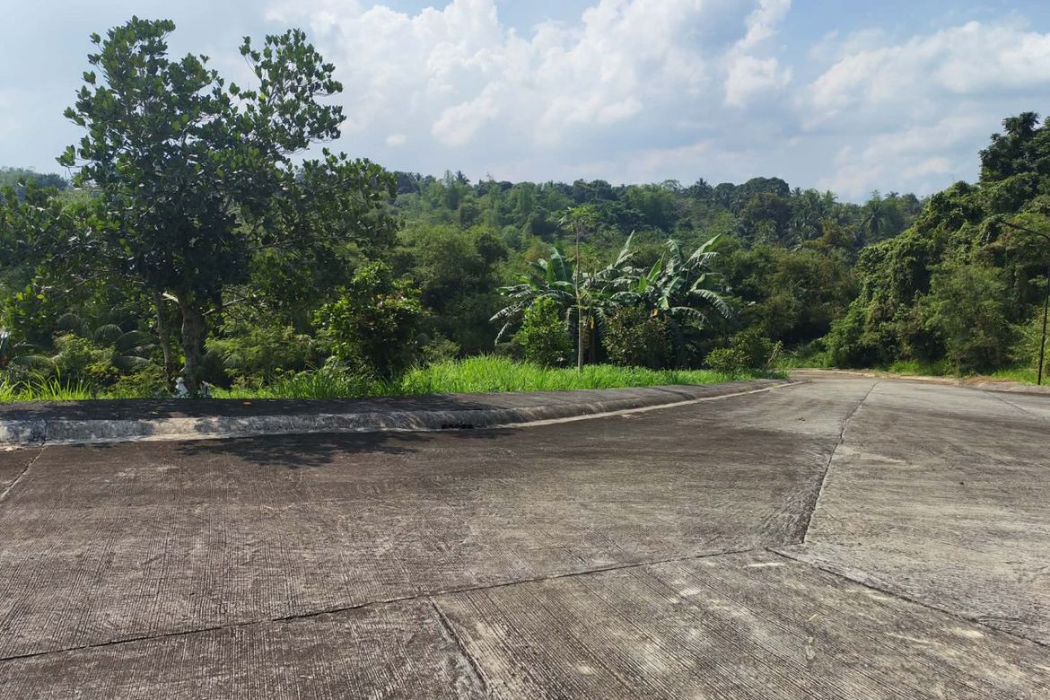 Land for Sale in Calumpang Lejos I, Indang, Cavite – photo 8