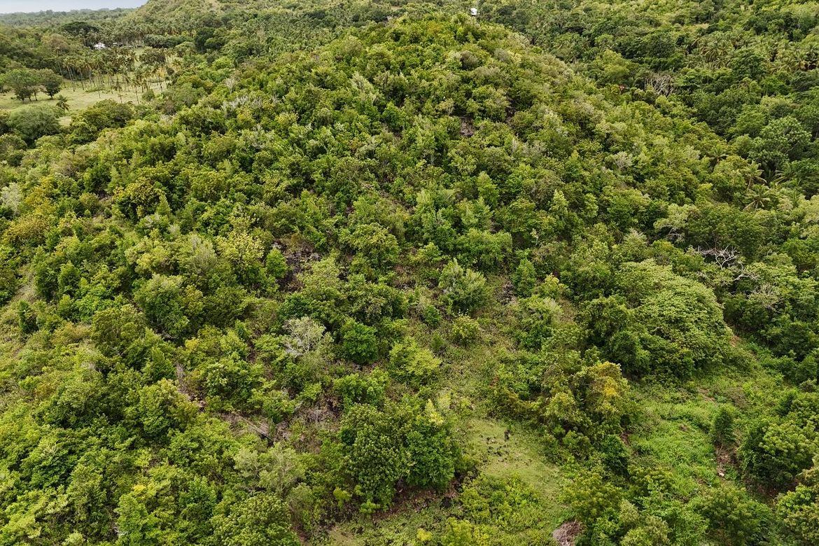 Land for Sale in Calunasan, Larena, Siquijor – photo 2