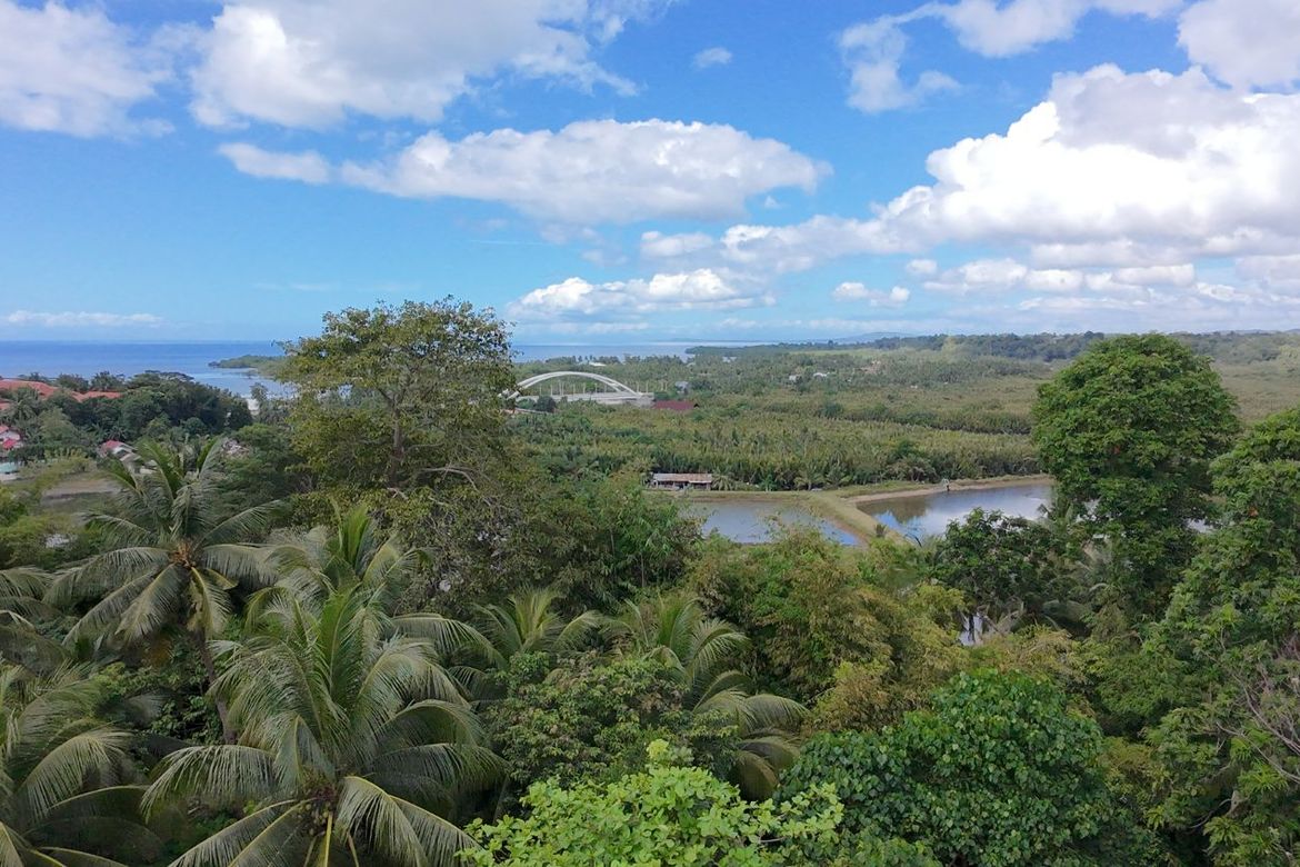 Land for Sale in Calvario, Loay, Bohol