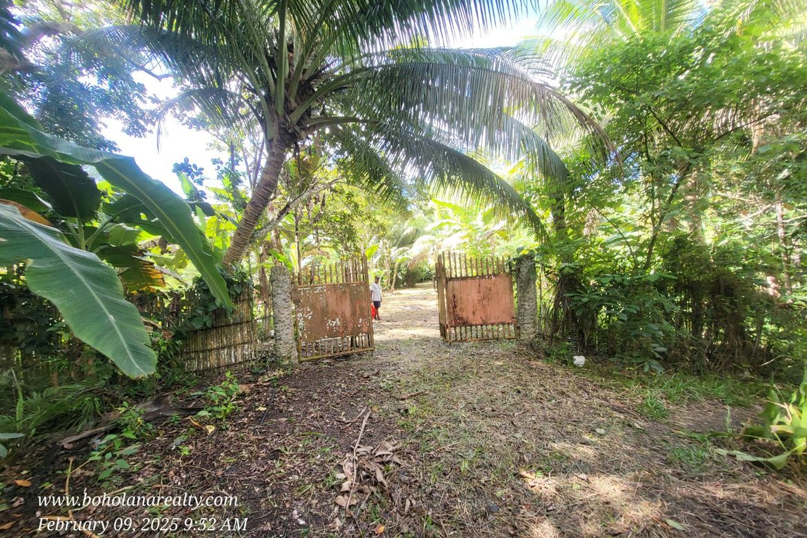 Land for Sale in Calvario, Loay, Bohol – photo 2