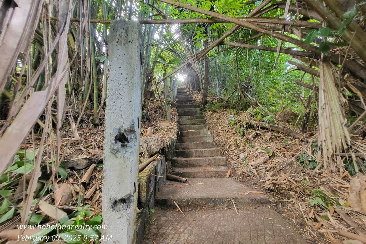 Land for Sale in Calvario, Loay, Bohol – photo 4
