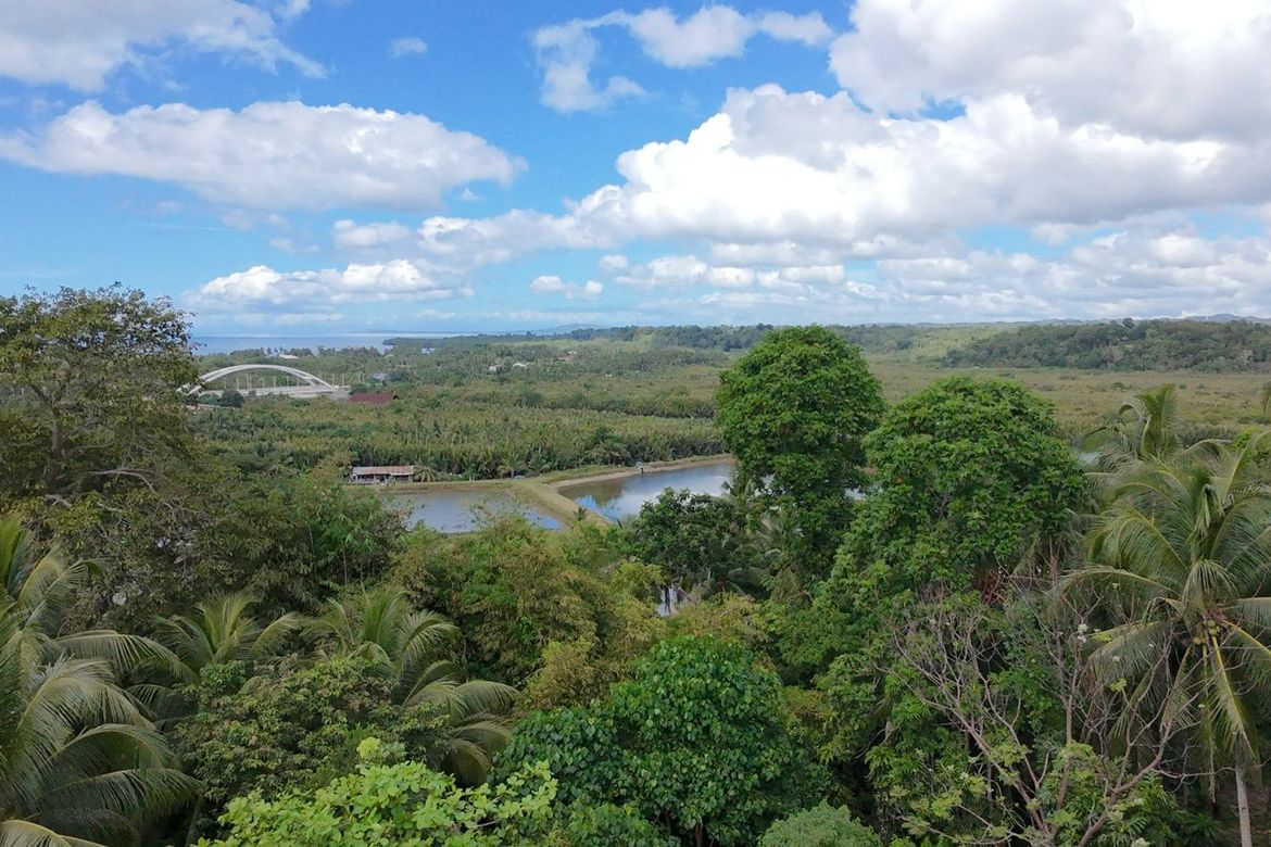 Land for Sale in Calvario, Loay, Bohol – photo 5