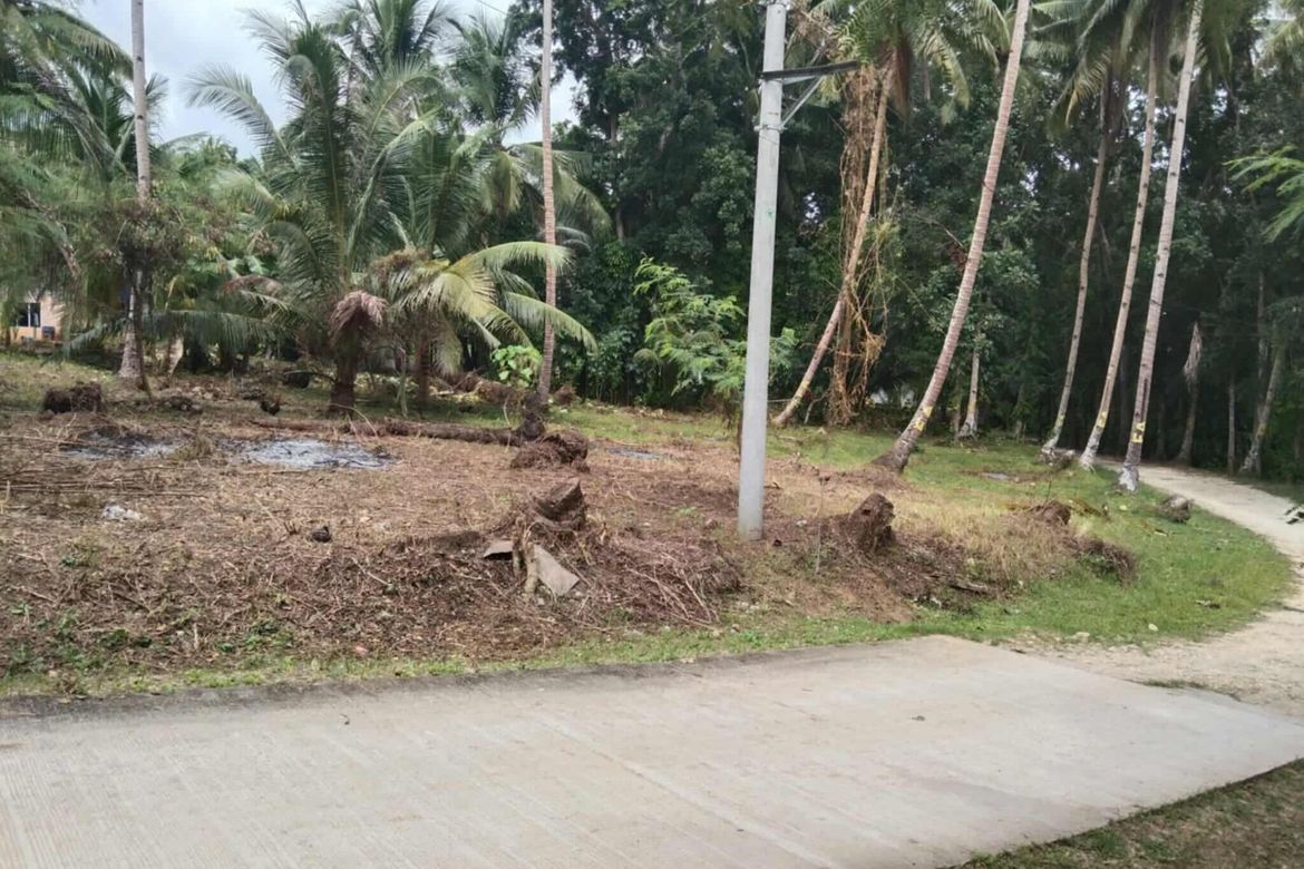 Land for Sale in Calvario, Loay, Bohol