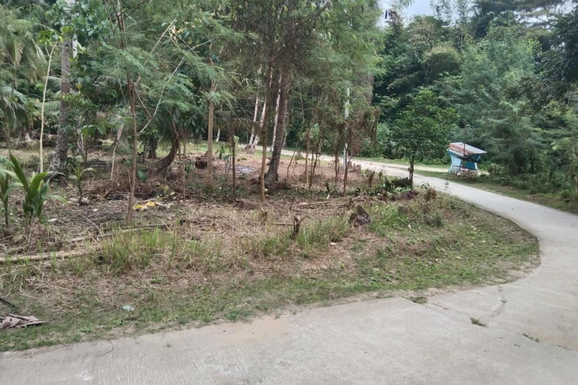 Land for Sale in Calvario, Loay, Bohol – photo 2
