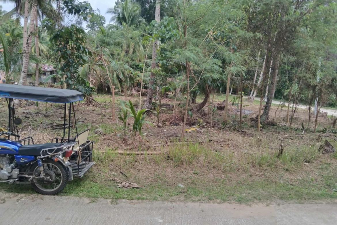 Land for Sale in Calvario, Loay, Bohol – photo 3