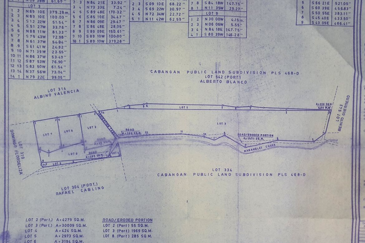 Land for Sale in Camachiles, Mabalacat, Pampanga – photo 3