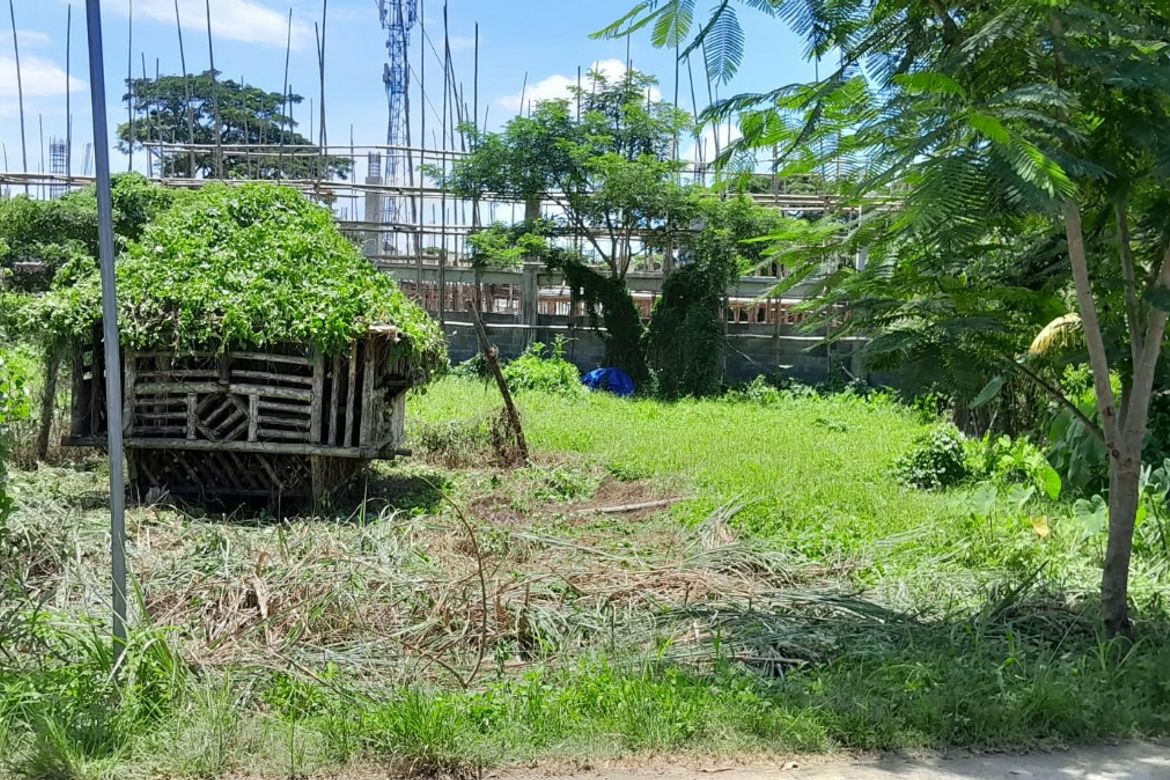 Land for Sale in Camambugan, Santa Barbara, Iloilo – photo 3