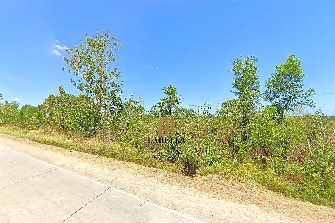 Land for Sale in Camambugan, Ubay, Bohol – photo 2
