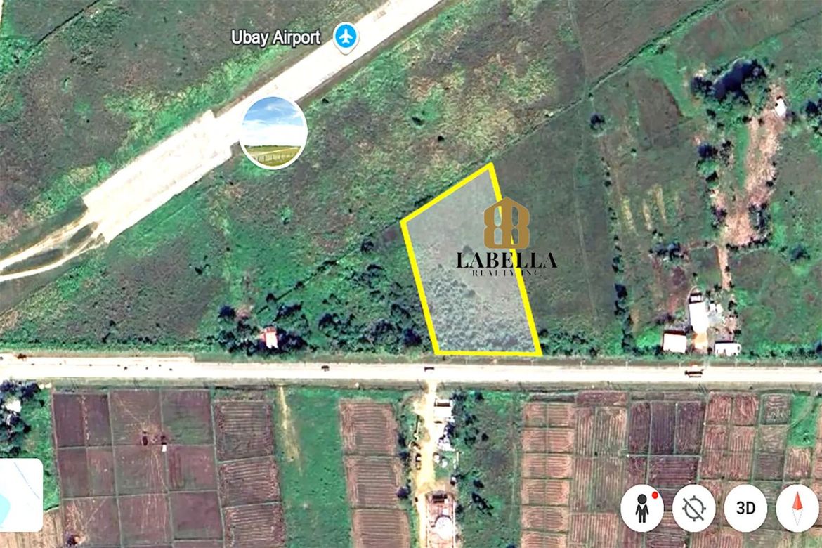 Land for Sale in Camambugan, Ubay, Bohol – photo 4