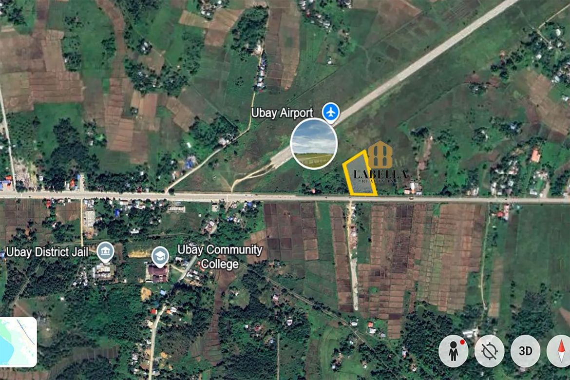 Land for Sale in Camambugan, Ubay, Bohol – photo 5