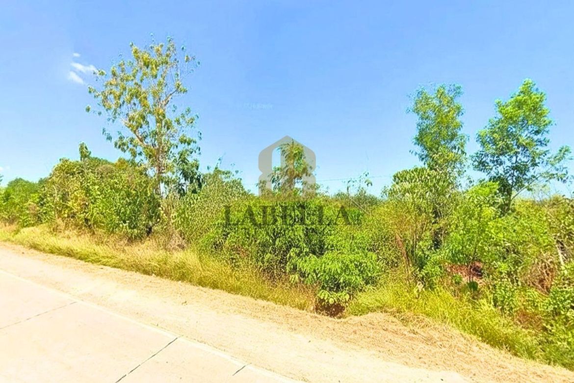 Land for Sale in Camambugan, Ubay, Bohol – photo 2