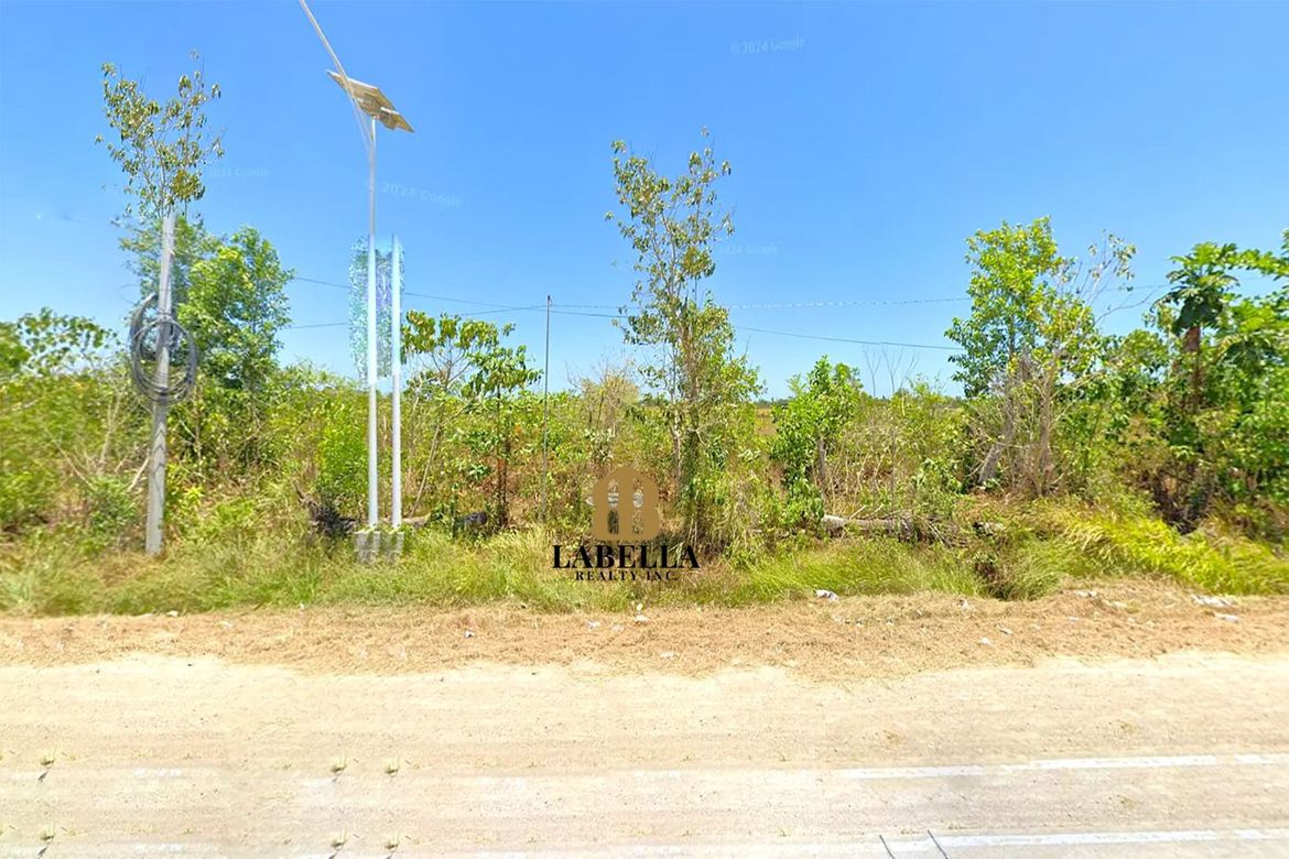 Land for Sale in Camambugan, Ubay, Bohol – photo 2