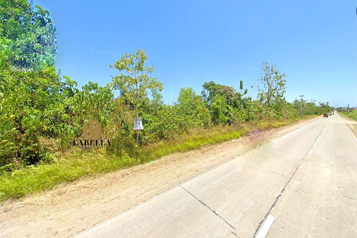 Land for Sale in Camambugan, Ubay, Bohol – photo 5