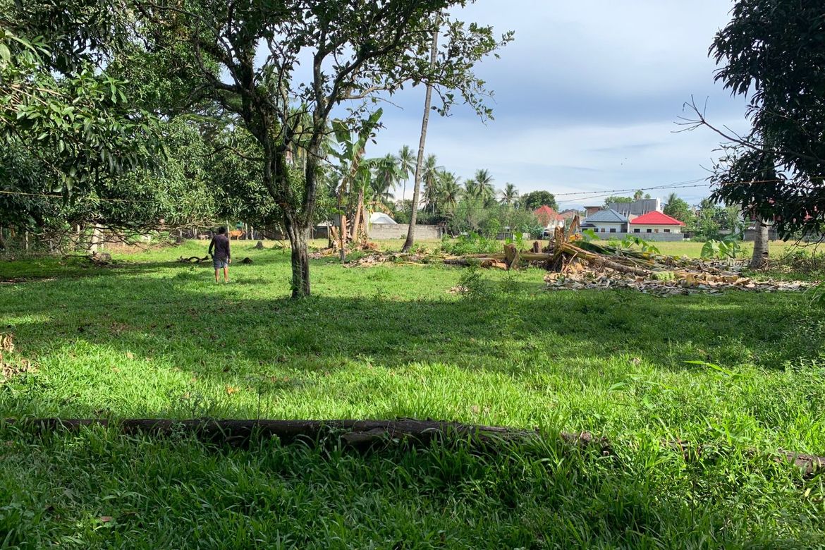 Land for Sale in Camanjac, Dumaguete, Negros Oriental