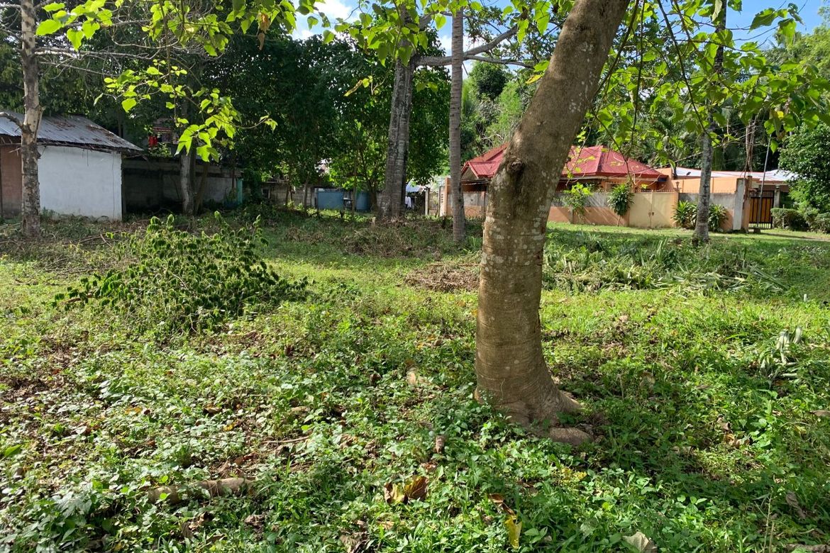 Land for Sale in Camanjac, Dumaguete, Negros Oriental – photo 4