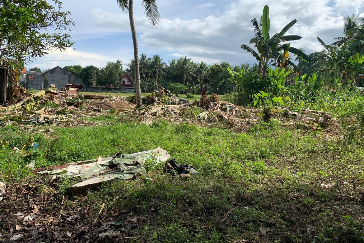 Land for Sale in Camanjac, Dumaguete, Negros Oriental – photo 8