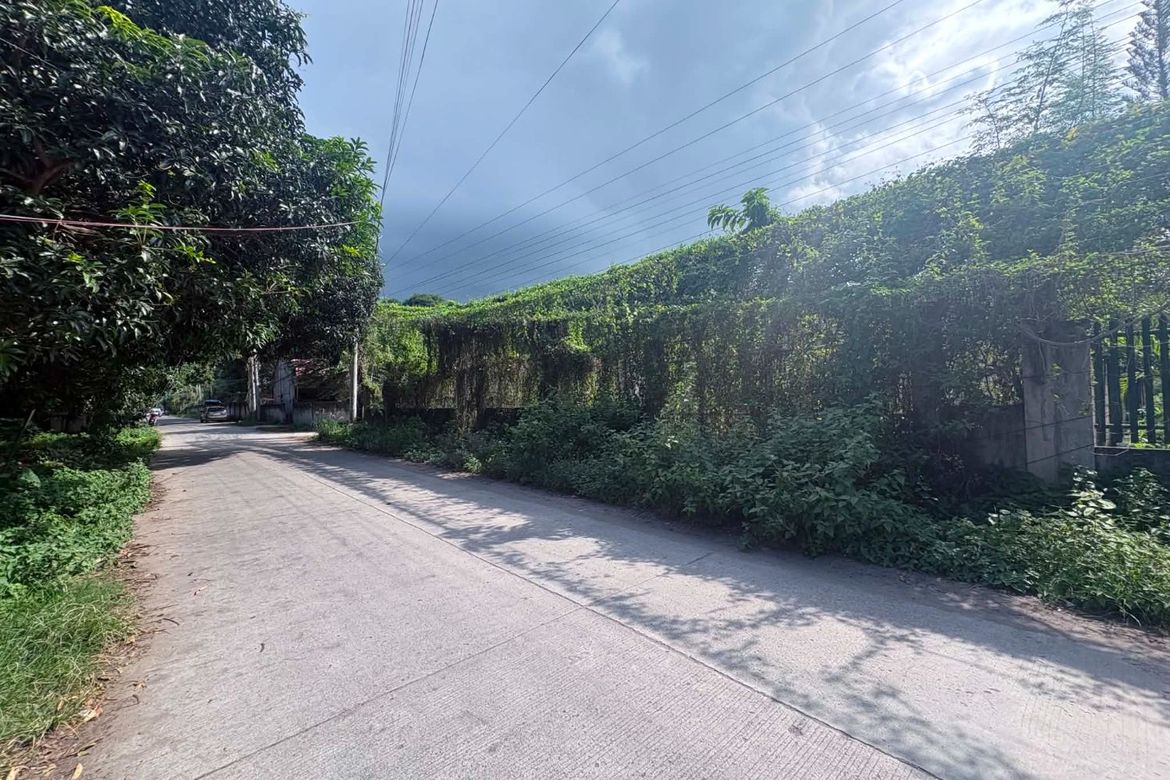 Land for Sale in Camanjac, Dumaguete, Negros Oriental – photo 2