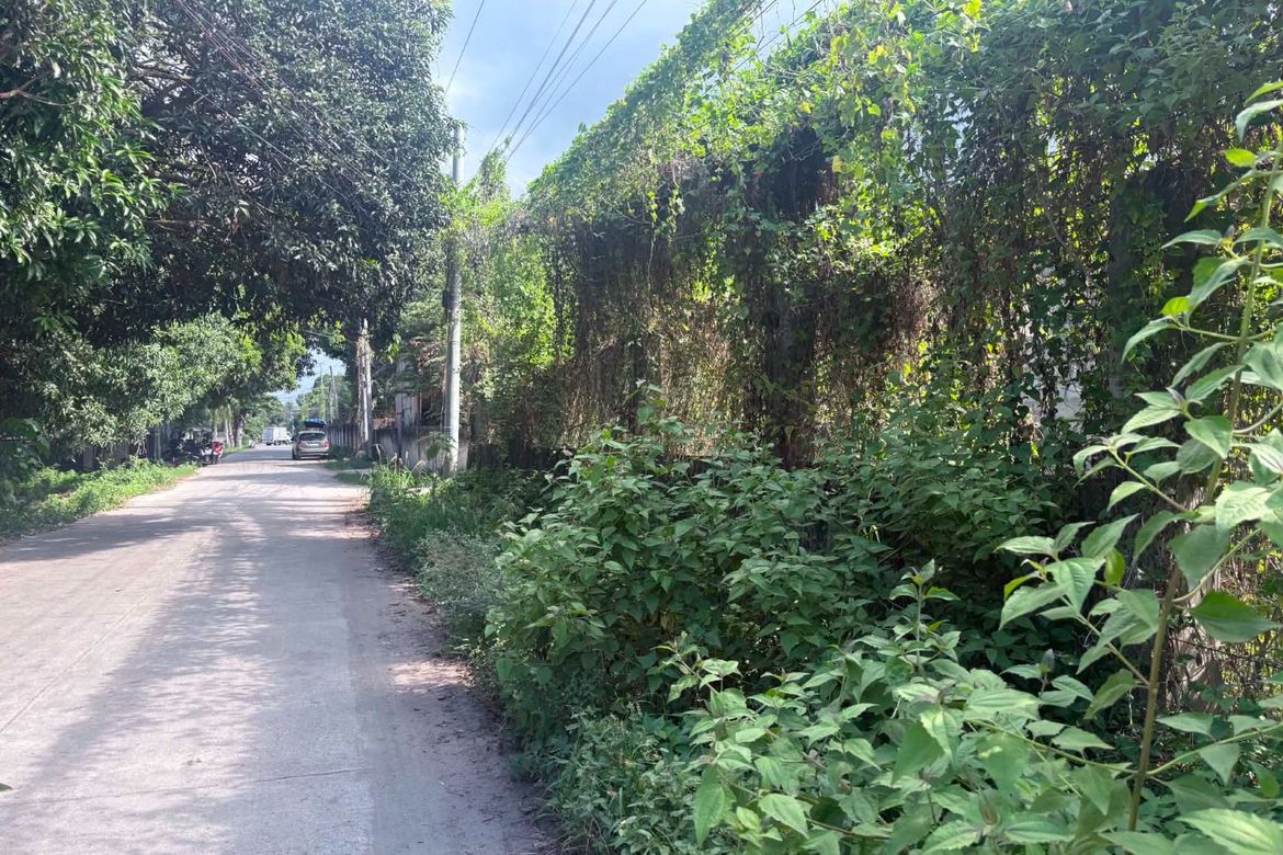Land for Sale in Camanjac, Dumaguete, Negros Oriental – photo 4