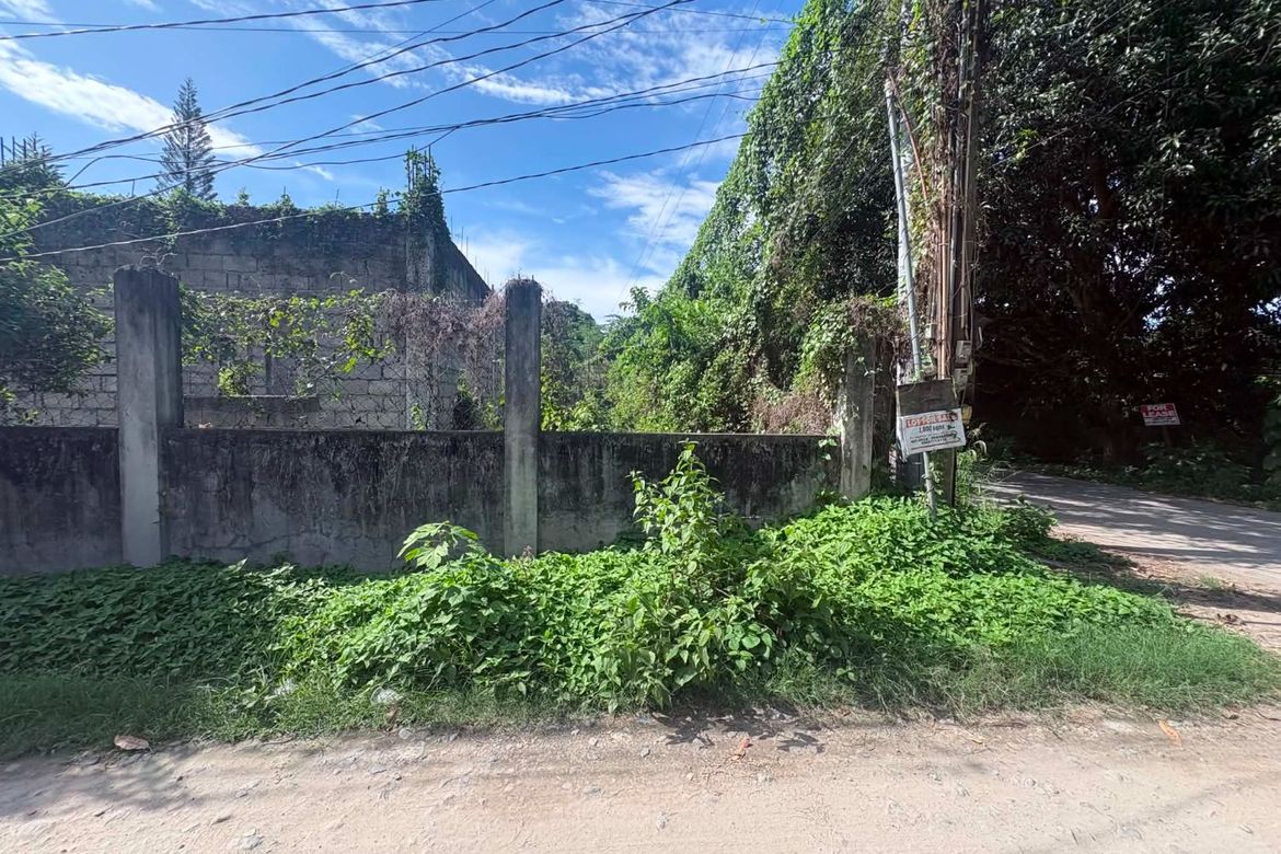 Land for Sale in Camanjac, Dumaguete, Negros Oriental – photo 5