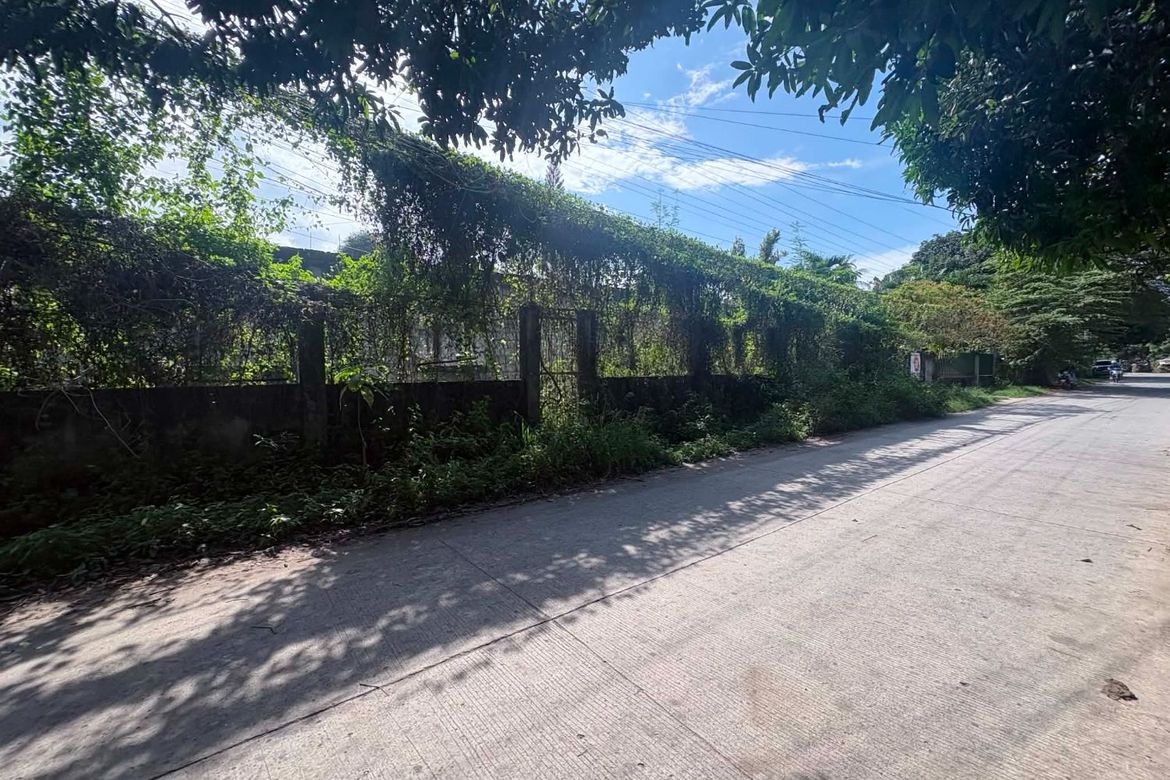 Land for Sale in Camanjac, Dumaguete, Negros Oriental – photo 6
