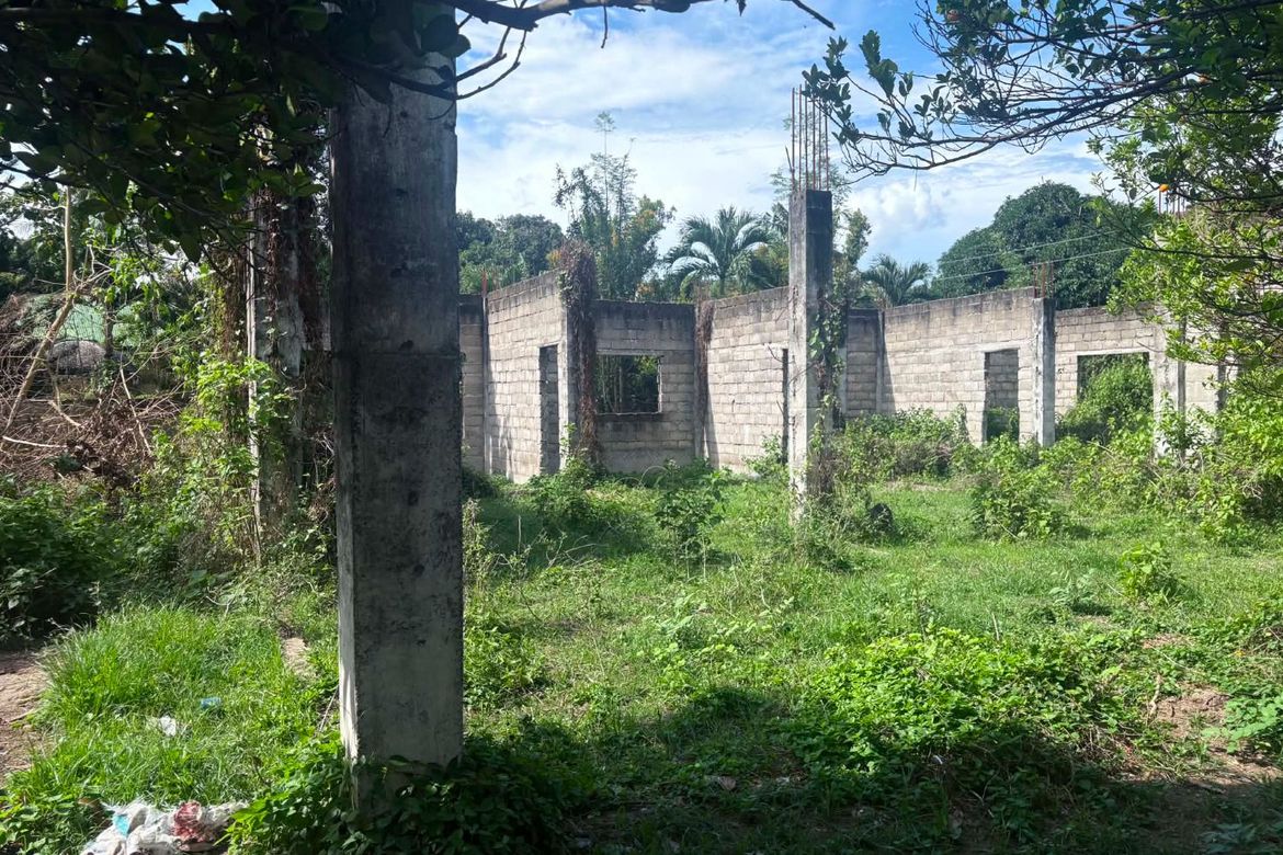 Land for Sale in Camanjac, Dumaguete, Negros Oriental – photo 7