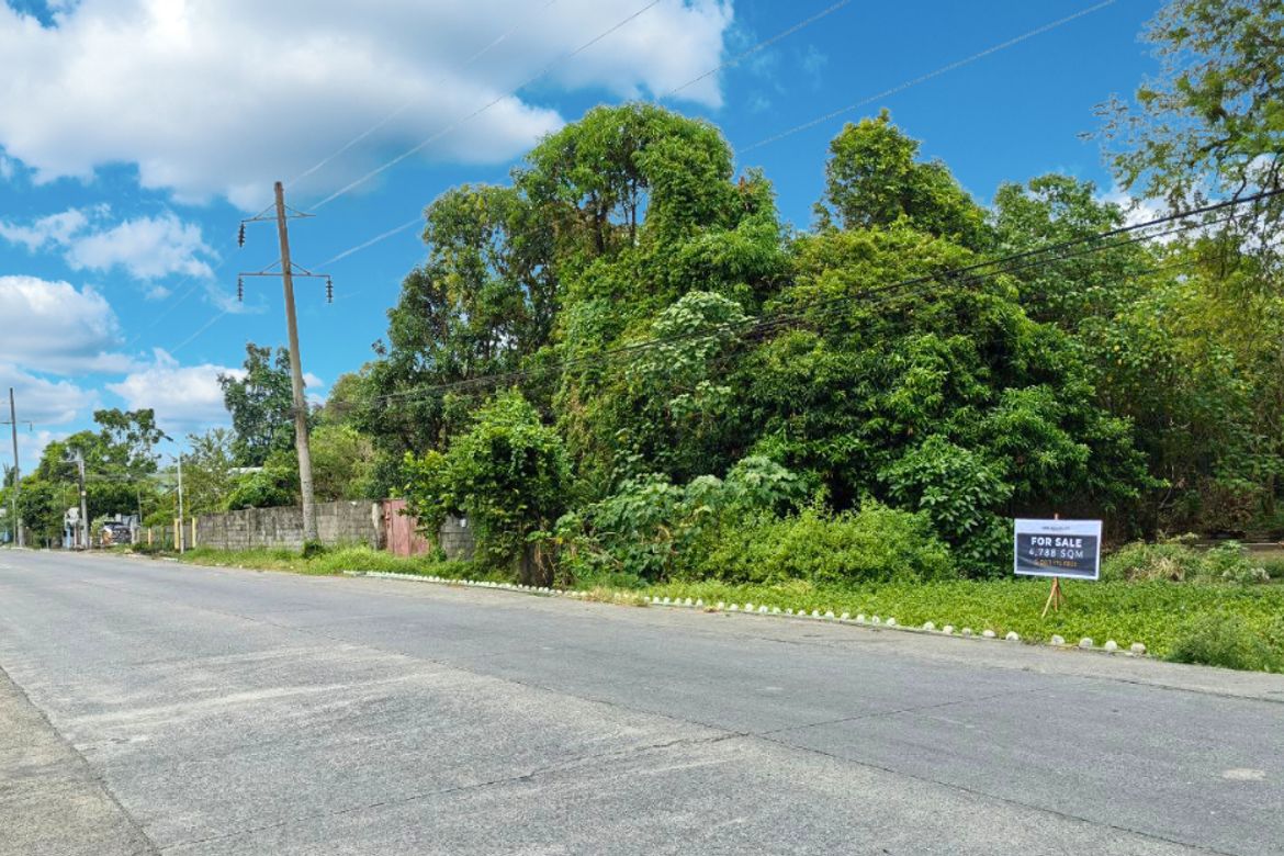 Land for Sale in Camantiles, Urdaneta, Pangasinan