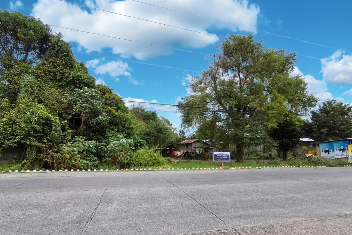 Land for Sale in Camantiles, Urdaneta, Pangasinan – photo 2